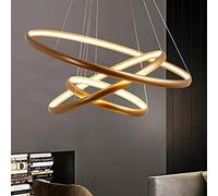 ZBZFGE Single Pendant Dining Table Ring Lights Dimmable Remote Control Hanging Lamp Living Room Ceiling Light Bedroom Height Adjustable Han,A-Single lap 80CM 50W
