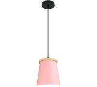 ZBZFGE Solid Chandelier Color Chandelier - Pendant Lamp Industrial Chandeliers Single Adjustable Pendant Shade ModernSimple Hanging Light