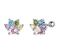 ZCCZJS Pendientes de Tachuelas para el oído de la Pata de circonio Colorido