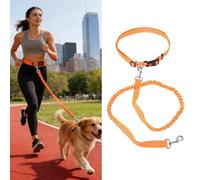 ZDAGELD Correa para Perros con Tira Reflectante con Anillos en D, Hebilla de Bloqueo Antitirones Multifuncional, Cuerda para Dog de Nailon Resistente, Correa Duradera y Cómoda para (Naranja Verde)