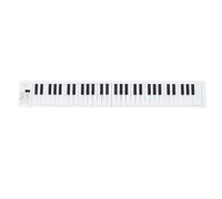 ZDETGU Teclado de Piano Plegable de 61 Teclas Piano Electrónico Portátil con Reproducción de Grabación Altavoces Incorporados 100 Ritmos 25 Canciones de Demostración para Principiantes Profesionales