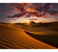 Zdklfm69 Pintar por Numeros Pintura por Números Paisaje Desierto DIY Kits de Pintura al óleo Lienzo de Dibujo Pintado a Mano Cuadros artísticos de Pared decoración Moderna para el hogar 40x50cm
