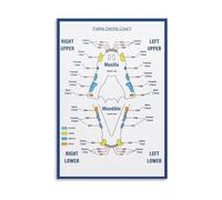 ZDVHOMCB Dog and Cat Dental Anatomy Poster - Pet Teeth Veterinary Chart Educational Canvas Wall Art for Clinic Home Office Decor Framed,12x18inch(30x45cm)