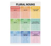 ZDVHOMCB Plural Nouns in English Poster - Grammar Rules Reference Chart, Perfect Wall Decor for Teachers, Students, Home School Room or Study Office Unframed,16x24inch(40x60cm)