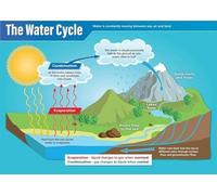 ZDVHOMCB The Water Cycle Poster - Detailed Hydrologic Cycle Diagram, Earth Science & STEM Educational Chart for Middle School, High School Classroom Decor Unframed,16x24inch(40x60cm)