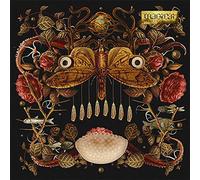 Ze In The Clouds - Magical [Vinilo]