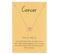 Zealmer - Collar con colgante de letra del signo del zodiaco de 18 quilates chapado en oro de 18 quilates para mujeres y niñas, regalo de cumpleaños de 18 pulgadas, Chapado en oro, No es una piedra