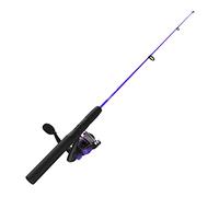 Zebco Dock Demon Spinning Reel and Fishing Rod Combo, 30-Inch 1-Piece Fiberglass Fishing Pole, EVA Rod Handle, Size 10 Reel, Powertrain Drag, Pre-Spooled with 6-Pound Zebco Line, Purple