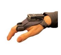 Zebra Back of Hand Mount