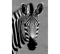 Zebra Dreams - A Surreal Journal of Stripes and Silence: A hypnotic black-and-white lined notebook for inspired thoughts and abstract minds