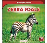 Zebra Foals (Wild Animal Babies)