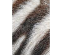 Zebra Fur Notebook: Aesthetic 6×9 Lined Journal - Soft Zebra Fur Texture Cover, 120 Pages for Writing, Notes & Daily Journaling
