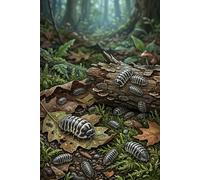 Zebra Isopod Notebook - Lined Journal with Natural Habitat Cover: Bug & Invertebrate Collection for Kids, Teens & Adults (6×9) - Lined Pages