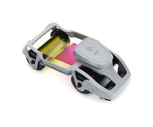 Zebra ribbon ymcko