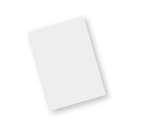 Zebra Screen protector, tempered glass