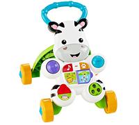 Fisher-Price DLD87 andador Multicolor