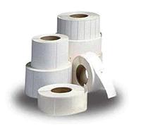 Zebra Z-Select 2000T, 31 x 22mm - Etiquetas de impresora (31 x 22mm, Color blanco, Transferencia térmica, 31 x 22mm, 12 pieza(s))