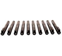 Zebra Zensations Black Fineliners - Rotuladores de dibujo técnico (10 unidades, 0,3 mm)
