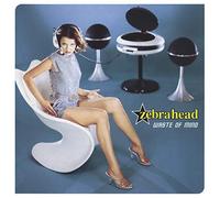 Zebrahead - Waste Of Mind
