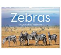 Zebras - Die gestreiften Vierbeiner. (Wandkalender 2026 DIN A3 quer), CALVENDO Monatskalender: Komm mit auf eine Reise zu den Zebras
