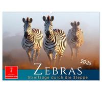 Zebras - Streifzüge durch die Steppe (Wandkalender 2026 DIN A2 quer), CALVENDO Monatskalender: Streifenstars auf Safari - Zebrastreifen mal anders.
