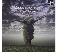Zed Bias - Equilibrium