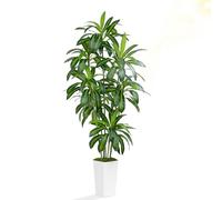 ZEEOZE Planta Artificial Dracaena de 210cm Planta Artificial Grande con Maceta Alta Blanca Plantas Artificiales Decorativas para Interiores Decoración Salon hogar Dormitorio Oficina Pasillo