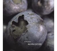 Zeitkratzer - Alvin Lucier [Vinilo]