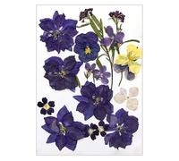 Zeizafa 16/18/19/22 piezas de flores secas prensadas para resina, hojas de flores secas naturales para manualidades, álbumes de recortes, velas, fabricación de joyas