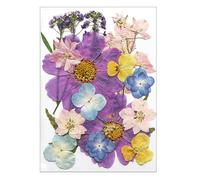 Zeizafa 16/18/19/22 piezas de flores secas prensadas para resina, hojas de flores secas naturales para manualidades, álbumes de recortes, velas, fabricación de joyas