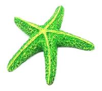 Zeizafa Innovadores Acuarios Hexagonales Adornos Estrellas De Mar Restaurante Temático para Varios Entornos Decoración del Hogar