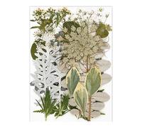 Zeizafa Juego de 30 hojas de flores secas prensadas naturales para hacer velas, joyas, manualidades, marcapáginas, manualidades, álbumes de recortes