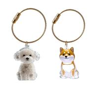 Zeizafa Llavero Conmemorativo para Coleccionista De De Mascotas Contenedor De Pieles De Animales Estuche para Perros Gatos Y Pequeños Fácil De Transportar Y Recargas Accesorios para Almacenamiento