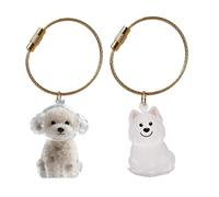 Zeizafa Llavero Conmemorativo para Coleccionista De De Mascotas Contenedor De Pieles De Animales Estuche para Perros Gatos Y Pequeños Fácil De Transportar Y Recargas Accesorios para Almacenamiento