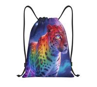 Zelinge Mochila con cordón para gimnasio, bolsa con cordón para deportes, campamento, viajes, baile, Rainbow Leopard Pastel Sky, 16.5 x 19.6 inch, Mochilas Daypack
