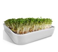 ZELLGUT® Colador para cultivos de berro, cuenco de germinación - 12 cm - Cuenco de cerámica + colador de acero inoxidable - Germinador para el cultivo de microgreens, semillas germinadas