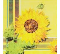 Zelten 2 Capas 20 Servilletas de Color Para la Fiesta de Té de Bodas (Girasol, 1 Pack)