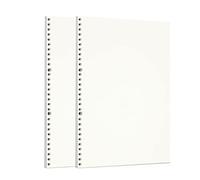 Zelten 2 Paquetes A4 90 Hojas/180 Páginas Papel Perforado de Hoja Suelta Recambios de Papel para Carpeta de 30 Agujeros Organizador Personal Cuaderno de Diario Rellenable Planificador