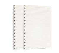 Zelten 2 Paquetes A4 90 Hojas/180 Páginas Papel Perforado de Hoja Suelta Recambios de Papel para Carpeta de 30 Agujeros Organizador Personal Cuaderno de Notas Recargable Planificador