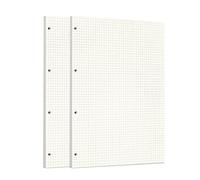 Zelten 2 Paquetes A4 90 Hojas/180 Páginas Papel Perforado de Hoja Suelta Recambios de Papel para Carpeta de 4 Agujeros Organizador Personal Cuaderno de Notas Recargable Planificador