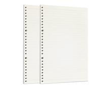 Zelten 2 Paquetes B5 120 Hojas/240 Páginas Papel Perforado de Hoja Suelta Recambios de Papel para Carpeta de 26 Agujeros Organizador Personal Cuaderno de Diario Rellenable Planificador