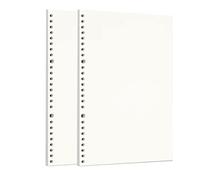 Zelten 2 Paquetes B5 120 Hojas/240 Páginas Papel Perforado de Hoja Suelta Recambios de Papel para la Carpeta de 26 Agujeros Organizador Personal Cuaderno de Diario Rellenable Planificador