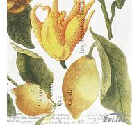 Zelten Servilletas de Papel de Colores, 20 Servilletas Shabby Chic para Boda, Cena, despedida de soltera/bebé, Partido del Té Cocktail Napkins (Bergamot)