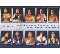 Zen-Nichi 2003 Champion Vol. 1 [Alemania] [DVD]