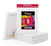 Zenacolor - Set de 5 Lienzos para Pintar 50x70cm - 100% Algodón sin Ácidos