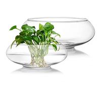 ZENFUN Paquete de 2 jarrones de Cristal, 15 cm, 20,5 cm de Ancho, terrario Redondo, Maceta hidropónica de Vidrio, Recipiente Floral Transparente para Centro de Mesa, decoración del hogar