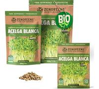 ZenGreens® - Semillas de acelga blanca ecológico - Elija entre 10g, 200g y 500g - brotes de acelga de penca blanca - germinación de más del 97% - Microgreens