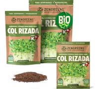 ZenGreens® - Semillas de berza ecológico - Elija entre 10g, 200g y 500g - brotes de berza - germinación de más del 97% - Microgreens