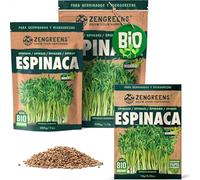 ZenGreens® - Semillas de espinaca ecológico - Elija entre 10g, 200g y 500g - brotes de espinaca común, germinación de más del 97% - Microgreens