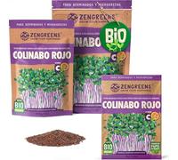 ZenGreens® - Semillas de rábano rojo ecológico - Elija entre 10g, 200g y 500g - brotes de rábano rojo - germinación de más del 97% - Microgreens